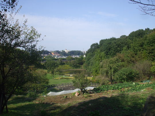 f0131165_21471631.jpg