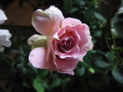 c0202870_21295315.jpg