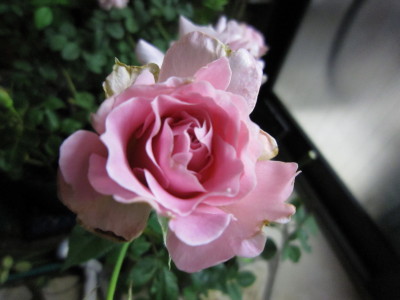 c0202870_21302220.jpg