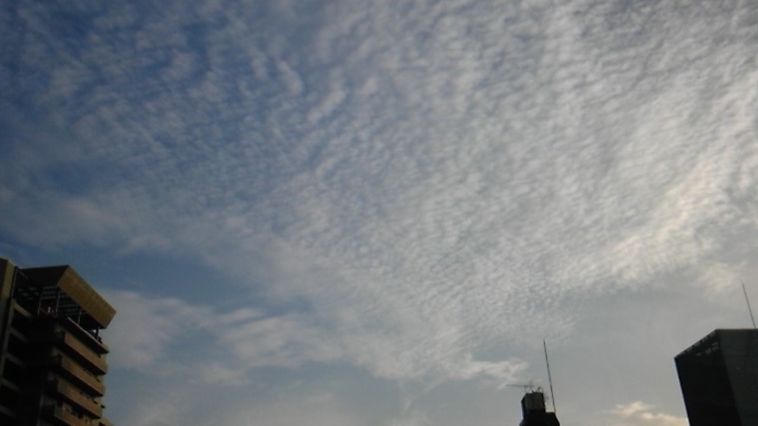 c0061774_2244896.jpg