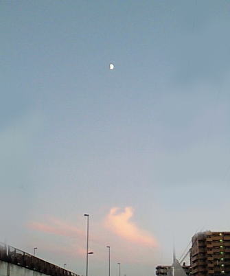 f0145575_2225132.jpg