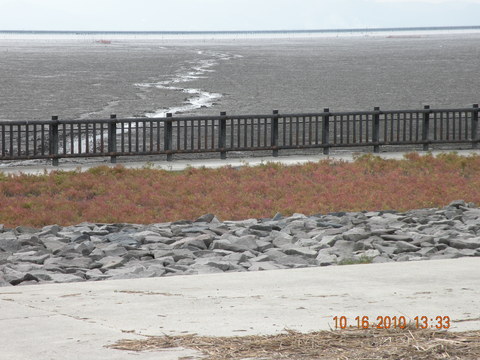 e0197884_20575653.jpg