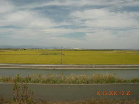 e0197884_2154539.jpg