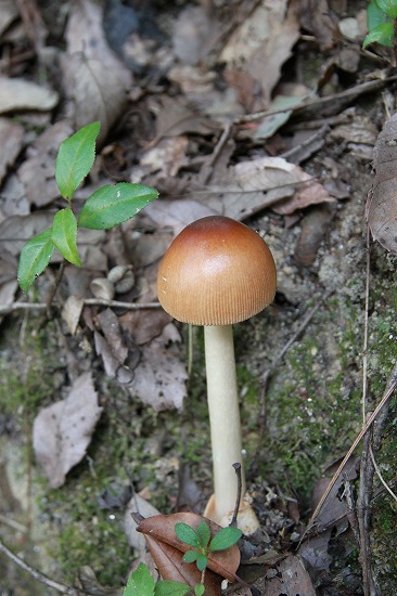 f0238184_15151688.jpg