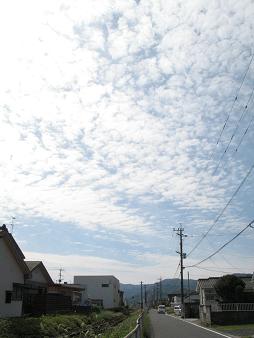 e0130185_1544472.jpg
