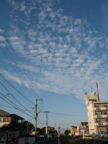 e0130185_2502625.jpg