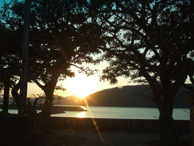 e0028387_224002.jpg