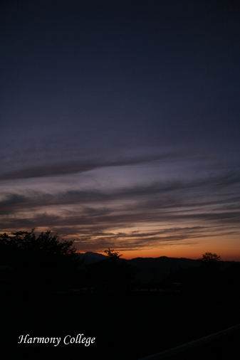 a0116490_22343791.jpg