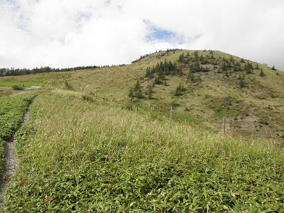 d0032405_23171162.jpg
