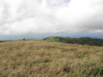 d0032405_23183970.jpg