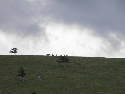 d0032405_2319318.jpg