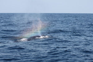 f0048405_2012115.jpg