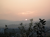 d0180506_1751277.jpg