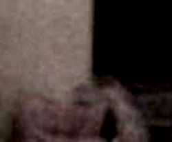 e0103408_12173738.gif