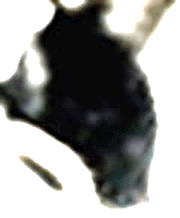 e0103408_12285025.gif