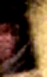 e0103408_12292566.gif