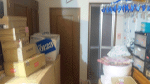 e0103408_12293673.gif