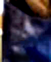 e0103408_1229985.gif