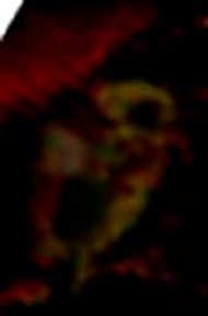 e0103408_19582157.gif