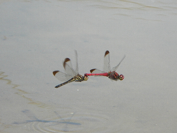 e0002314_2117561.jpg