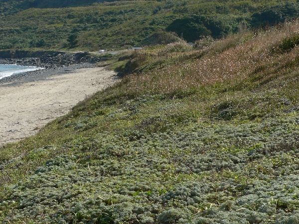 e0002314_216940.jpg