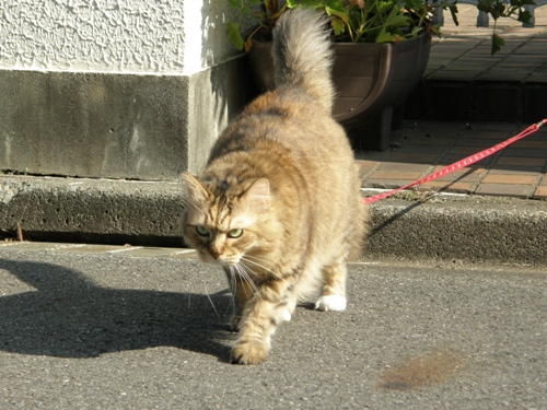 c0158916_924456.jpg