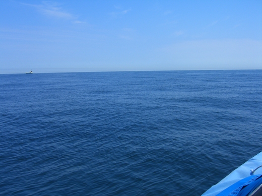f0125225_1785967.jpg