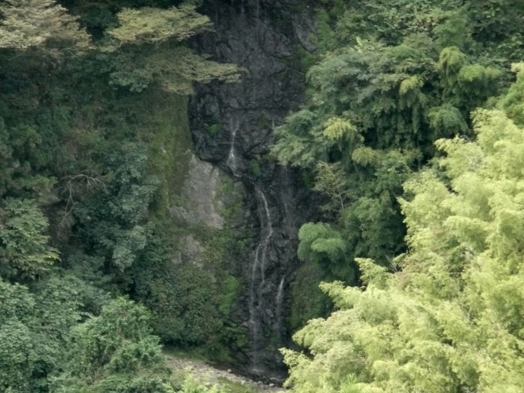 e0033229_19453365.jpg