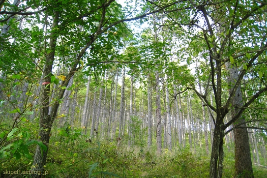 c0134734_23434689.jpg