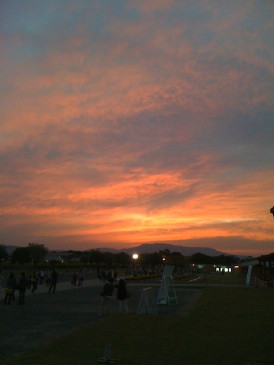 f0131934_12412482.jpg