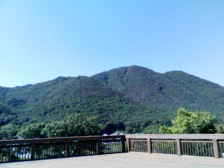 a0142338_23323284.jpg