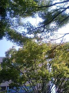 f0210439_0123293.jpg