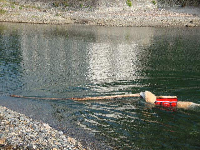e0158841_16121142.jpg