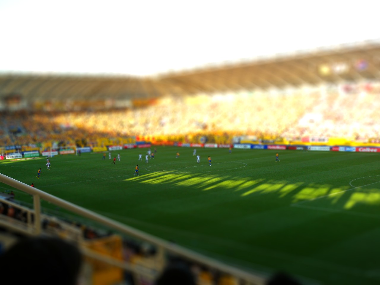 a0035942_945499.jpg