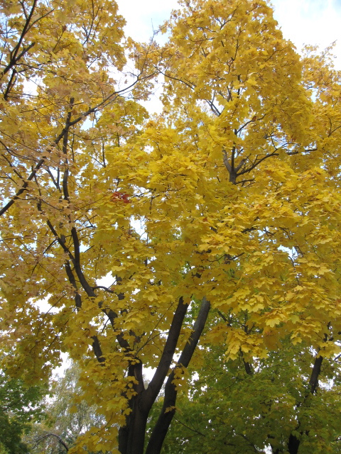 c0122744_22295144.jpg