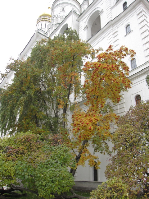 c0122744_22334512.jpg