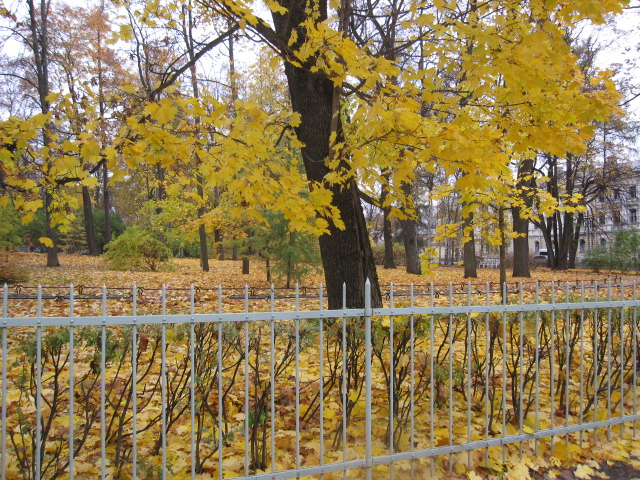 c0122744_22362242.jpg