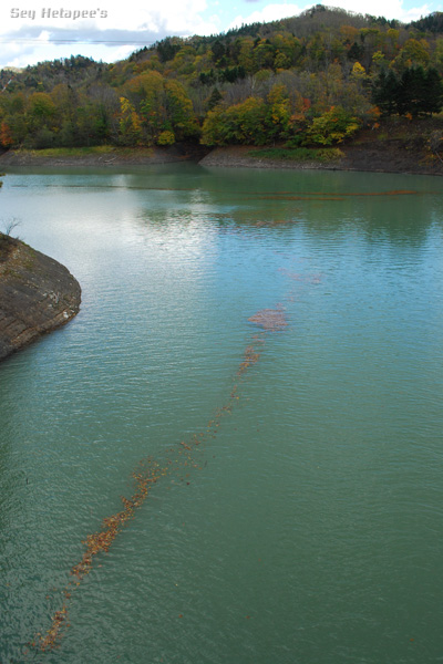 f0166545_22265324.jpg