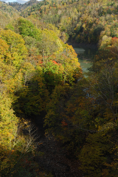 f0166545_22274740.jpg
