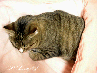 c0176651_23342839.gif