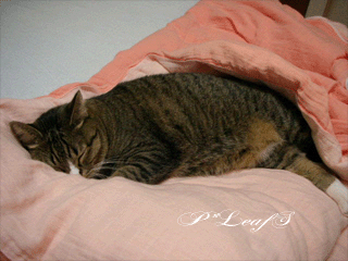 c0176651_23345143.gif