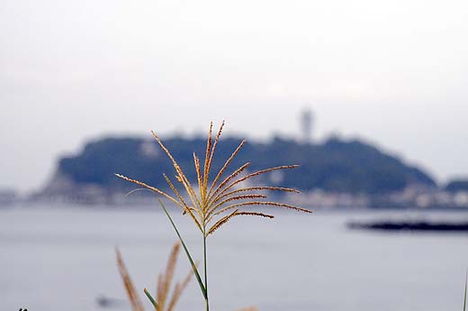 e0050753_19565493.jpg