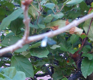 e0004756_22174812.jpg