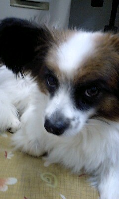 f0122259_20201033.jpg
