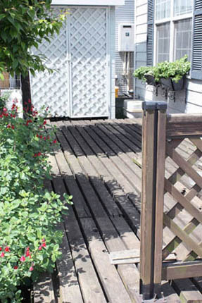 f0229759_2143172.jpg