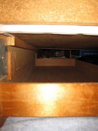 f0158862_20463659.jpg
