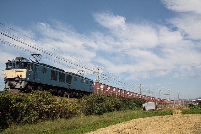 b0129163_14522087.jpg