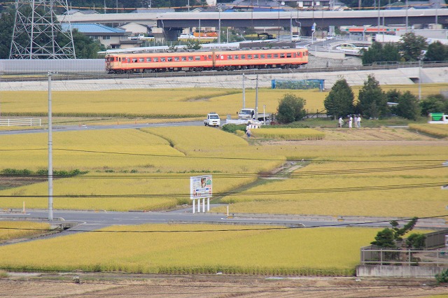 b0129163_15262819.jpg