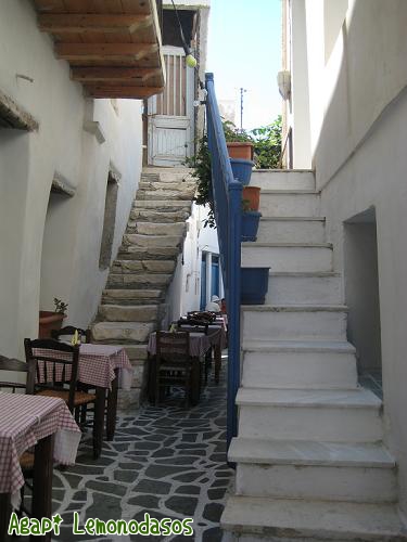 f0037264_210335.jpg