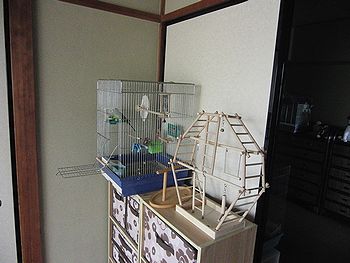 f0196665_0151116.jpg